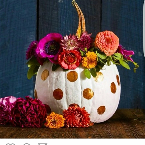 Meet your Posher, Monica - Picture 1 of 1